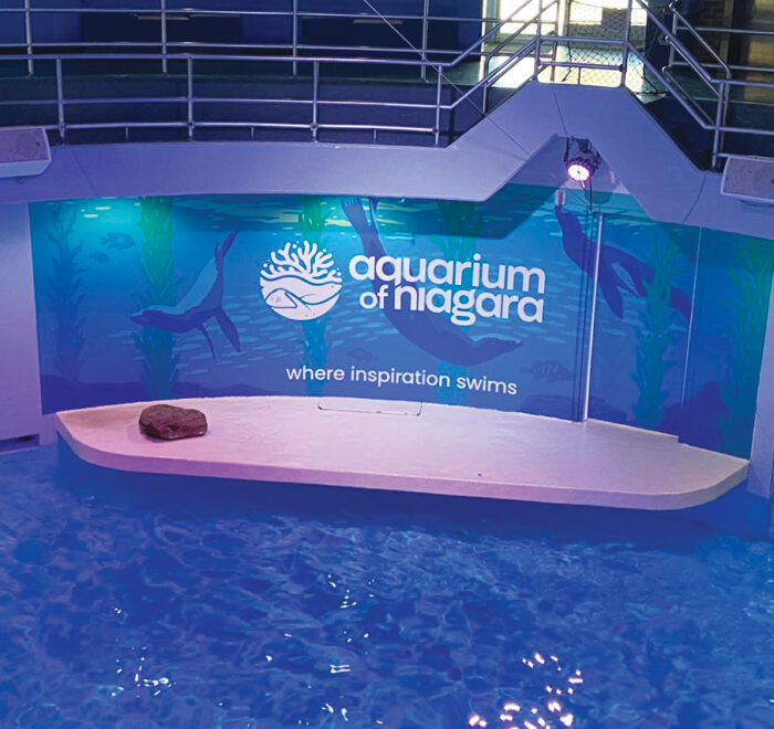 interior graphics for Aquarium of Niagara