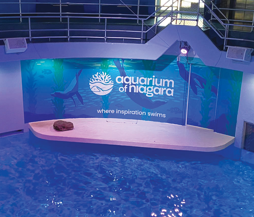 interior graphics for Aquarium of Niagara