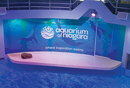 Aquarium wall graphics