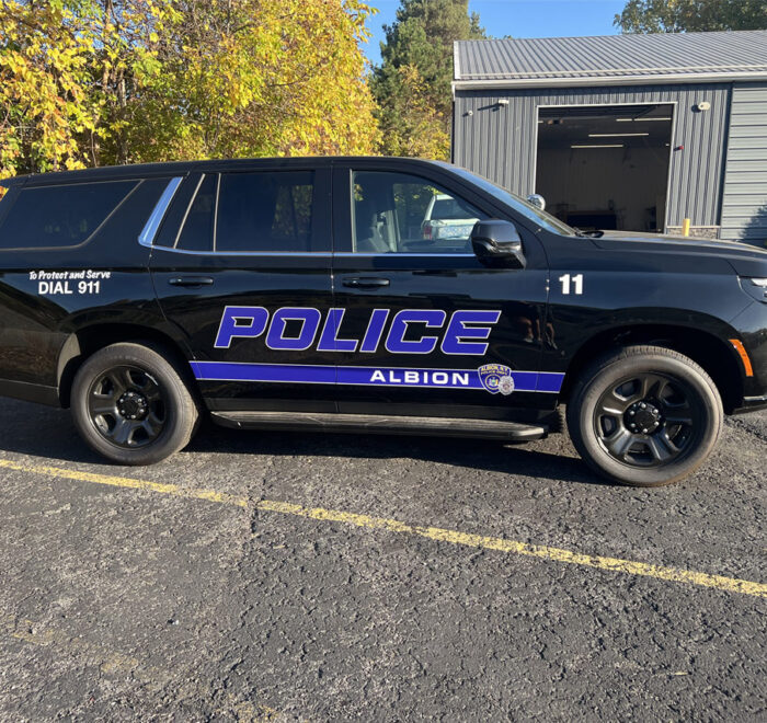 Albion PD graphic kit